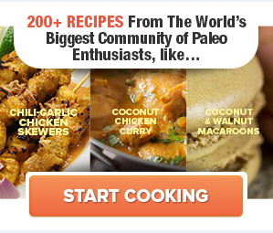 300x250 Paleo